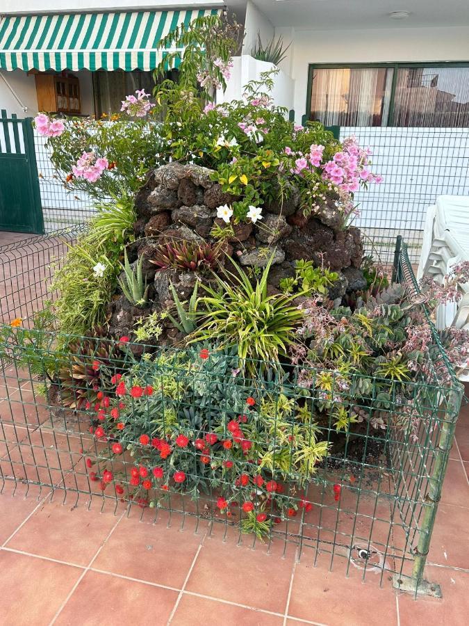 Maspalomas San Bartolomé 외부 사진